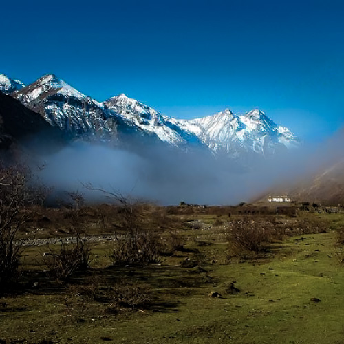 Laya Gasa Trek Tour Image